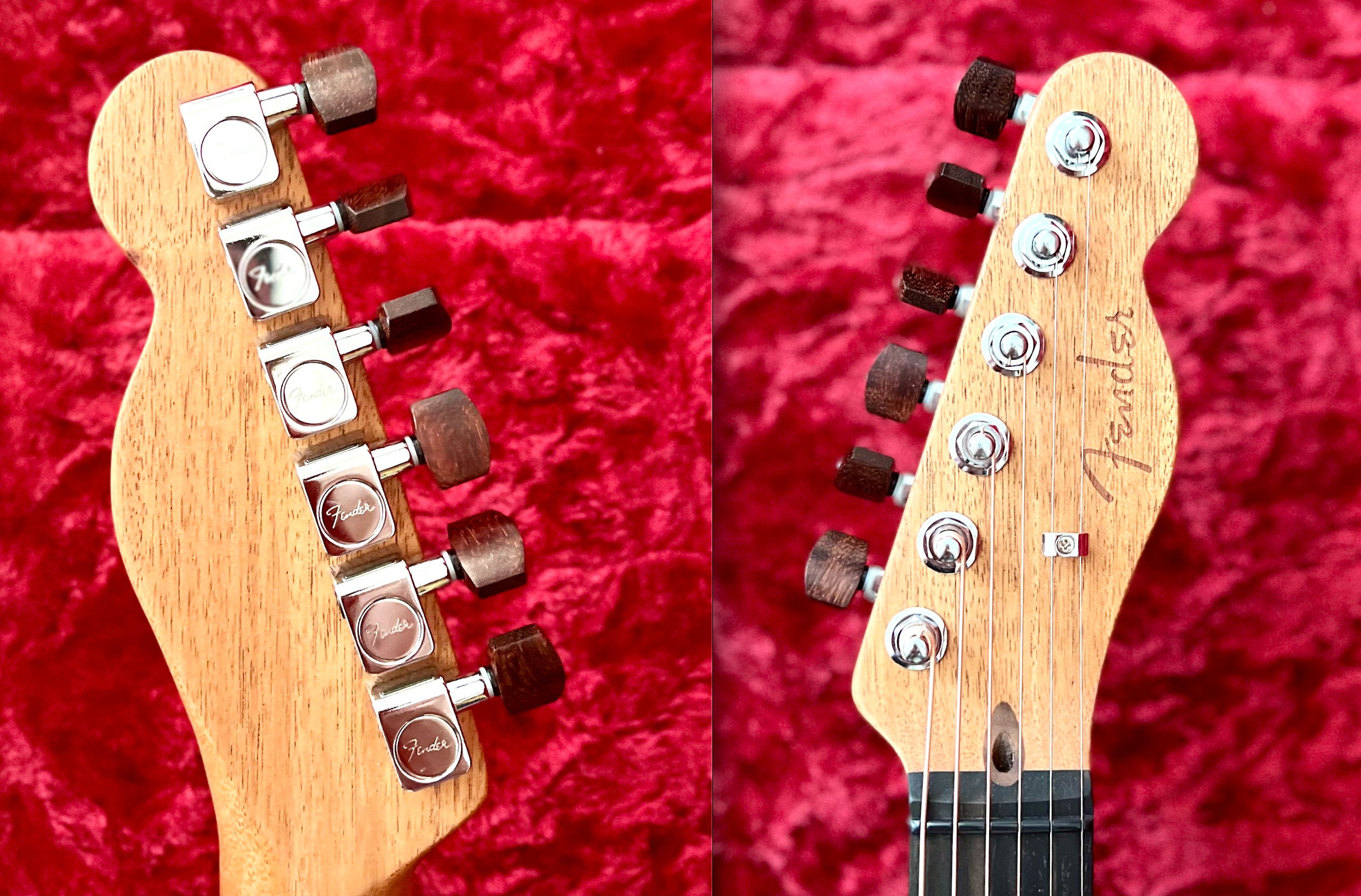 Fender Acoustasonic Tele Mah NAT with Guitar Monkey Tamarindenholz Small German Buttons 
