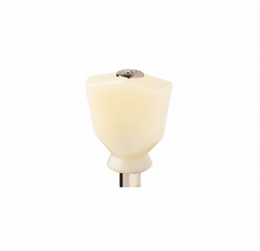 Tulip Keystone Gitarren Mechanik Tuner Buttons Flügel / Knöpfe